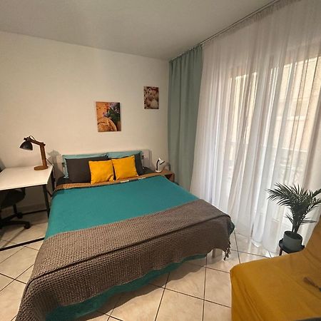 Studio Lucica Petrovac Kültér fotó